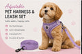 Adjustable Pet Harness & Leash Set