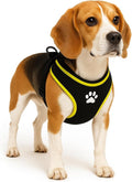 Flamingo Harnas hond – honden tuigje – harnas hond anti trek – hondentuigjes – hondentuig anti trek – step&go tasha – zwart – maat m – a:53cm b:65-75cm x 20mm x 5mm
