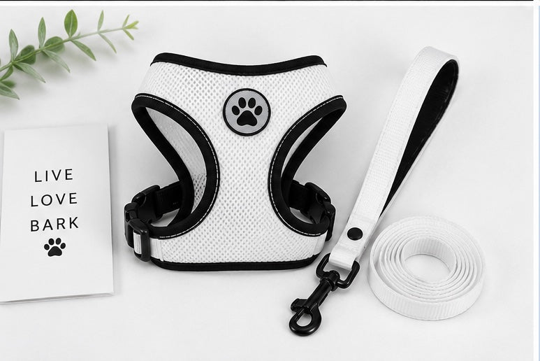 Adjustable Pet Harness & Leash Set