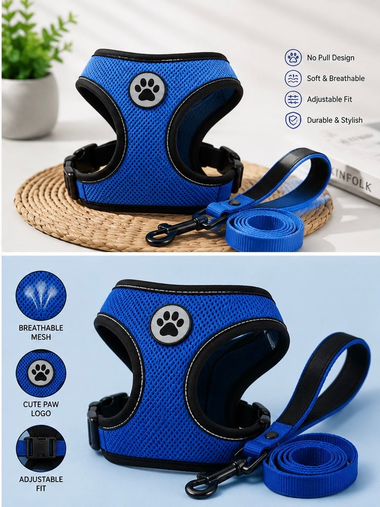 Adjustable Pet Harness & Leash Set