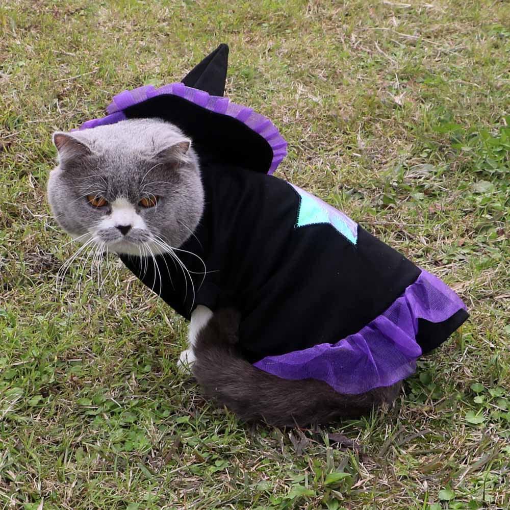 Christmas Enchanter Pet Halloween Dog Costume