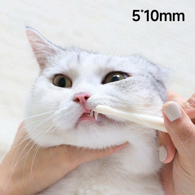 Small 7-Head Soft Bristle Pet Toothbrush for Cats & Small Dogs